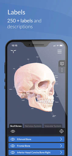 Head Atlas screenshot 1
