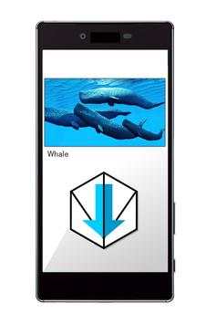 FDM - Fastest Video Downloader screenshot 2