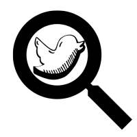 Search Twitter on 9Apps