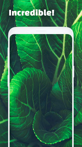 Wallpapers screenshot 2