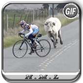 Bicycle Funny gif