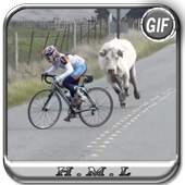 Bicycle Funny gif 1.0.0