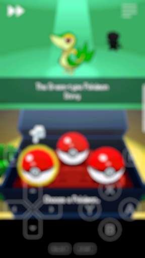 white nds (emulator) screenshot 2