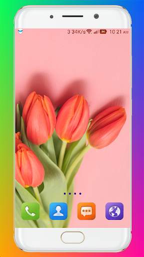 Tulip Wallpaper HD screenshot 7
