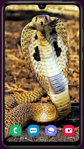 Snake Wallpaper Best HD screenshot 12