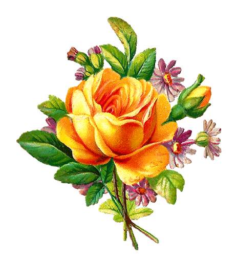 Wonderful Flowers Roses images Gif screenshot 15