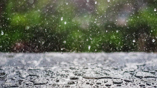 Rain Live Wallpaper screenshot 1