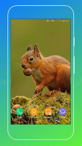 Squirrel Wallpaper screenshot 5