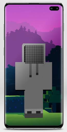 Invisible Skin for Minecraft screenshot 5