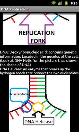DNA Replication screenshot 4