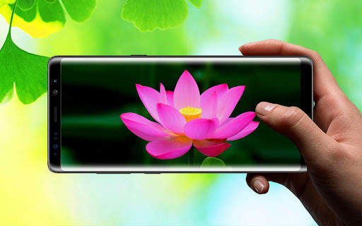 Lotus 3D Live Wallpaper screenshot 9