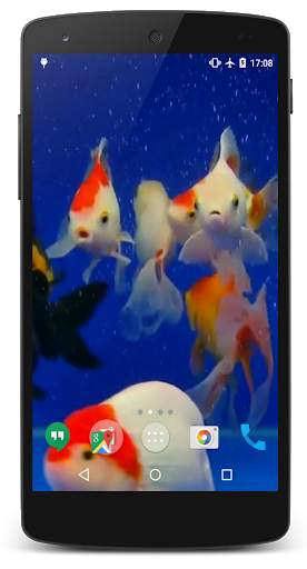 3D Fishes Video Live Wallpaper screenshot 2