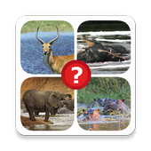 AFRICA 4 Pictures 1 Word icon