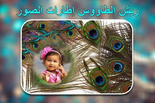 إطارات صور ريش الطاووس 4 تصوير الشاشة
