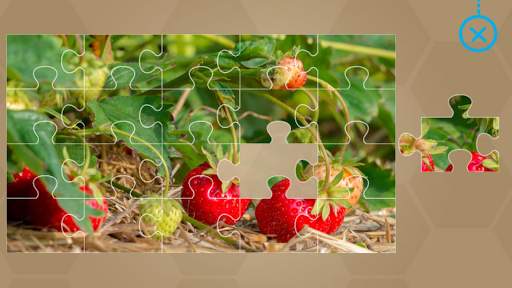 Fruits and Vegetables for Kids - Flashcards Puzzle скриншот 21