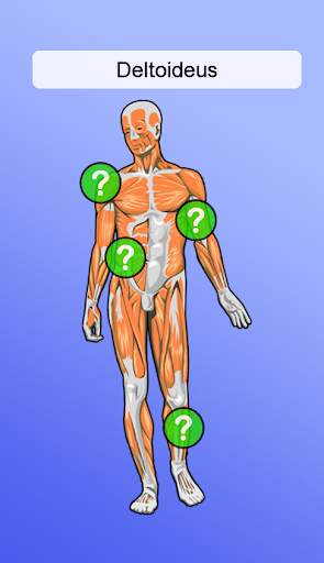 Anatomie Spiel screenshot 1