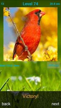Birds Puzzle screenshot 2