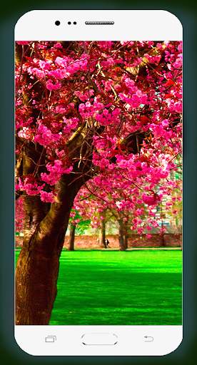 Spring Wallpaper HD screenshot 13