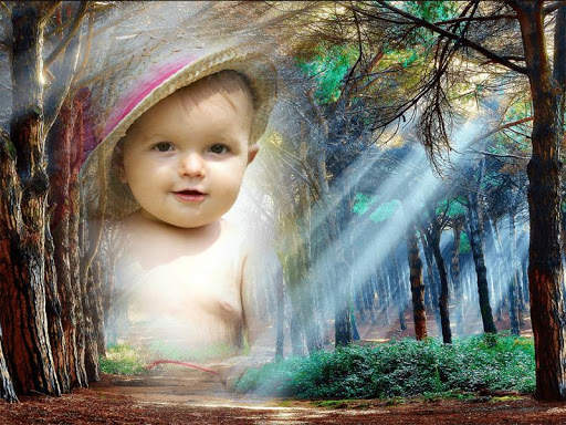 Forest Photo Frames screenshot 1