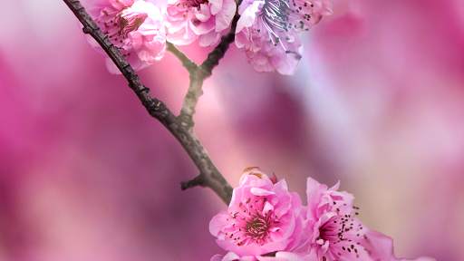MOSAIC 3D Wallpapers FREE screenshot 14