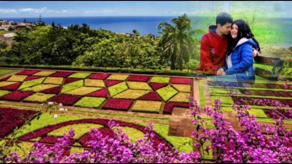 Garden Photo Frame Multi 5 تصوير الشاشة