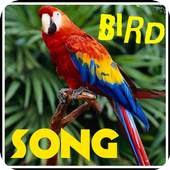 Song of Birds. 1.0.0