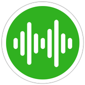 Sindu Player icon