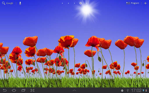Poppy Field Free screenshot 3