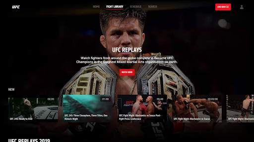 UFC screenshot 22