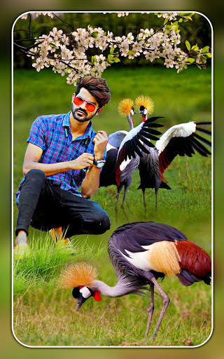Bird photo editor birds photo frame screenshot 3