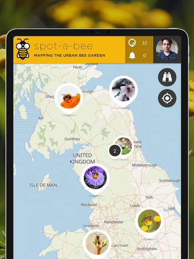 Spot-a-Bee  | SPOTTERON screenshot 13