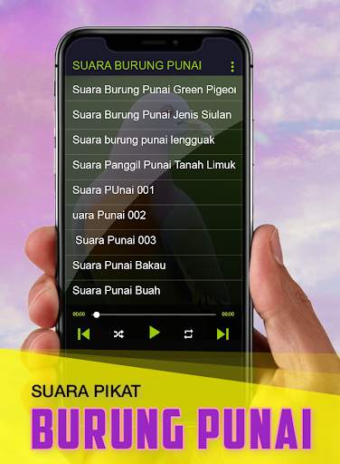 Suara Punai: Green Pigeon screenshot 3