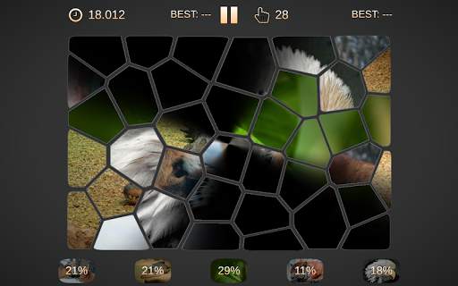 Image Rush: 1000  Dynamic Photo Jigsaw Puzzles screenshot 5