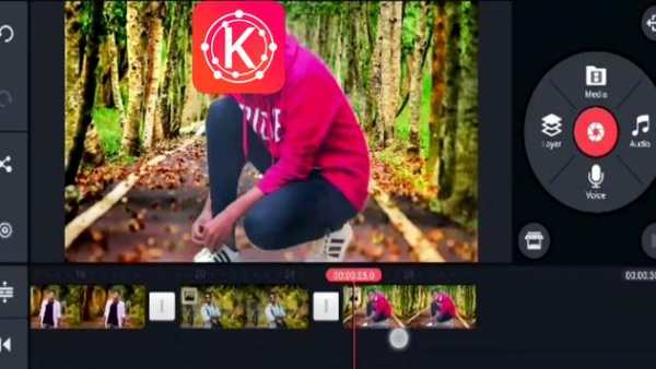Advice: kineMaster Pro Video Editing screenshot 2