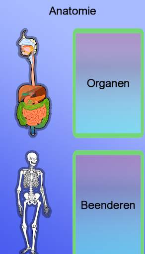 Anatomie screenshot 2