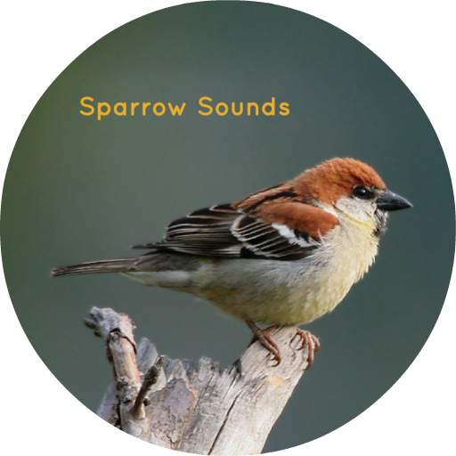 Sparrow Sounds - Sleep & Relax 1.0