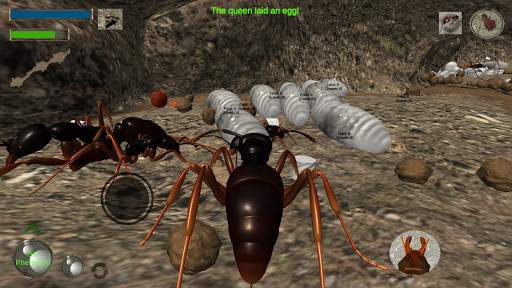 Ant Simulation 3D - Insect Sur screenshot 3
