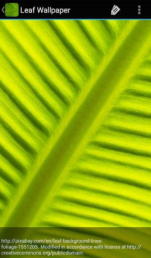 Leaf Wallpaper screenshot 3
