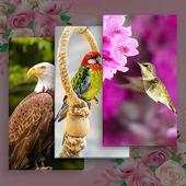 All Birds Wallpapers 1.0