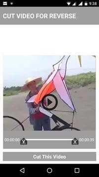 Reverse Video FX screenshot 3