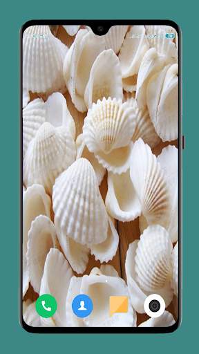 HD Seashell Wallpaper screenshot 15