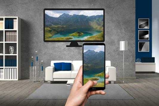 Screen Mirroring screenshot 1