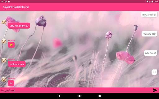 Smart Virtual Girlfriend screenshot 11