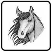Draw Horse Step By Step icon