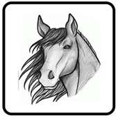 Draw Horse Step By Step