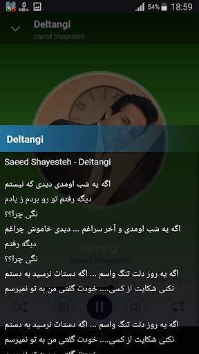 Saeed Shayesteh - songs offline screenshot 4