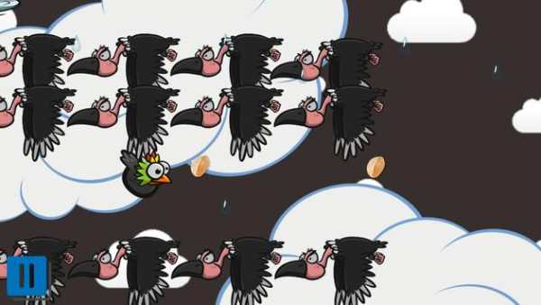 BulBul Bird screenshot 5
