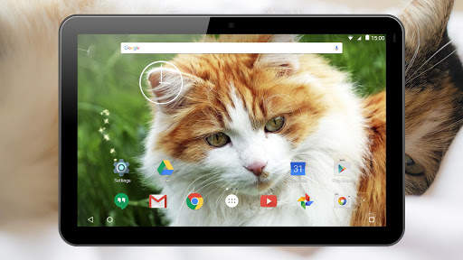 Cats Live Wallpaper screenshot 11