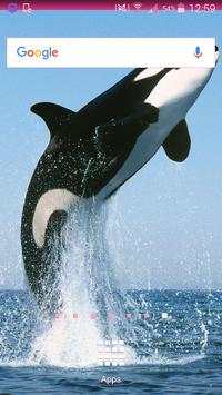 Whale Wallpapers screenshot 2