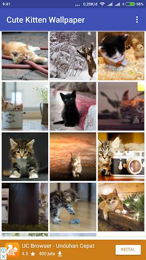 Cute Kitten Wallpaper screenshot 3